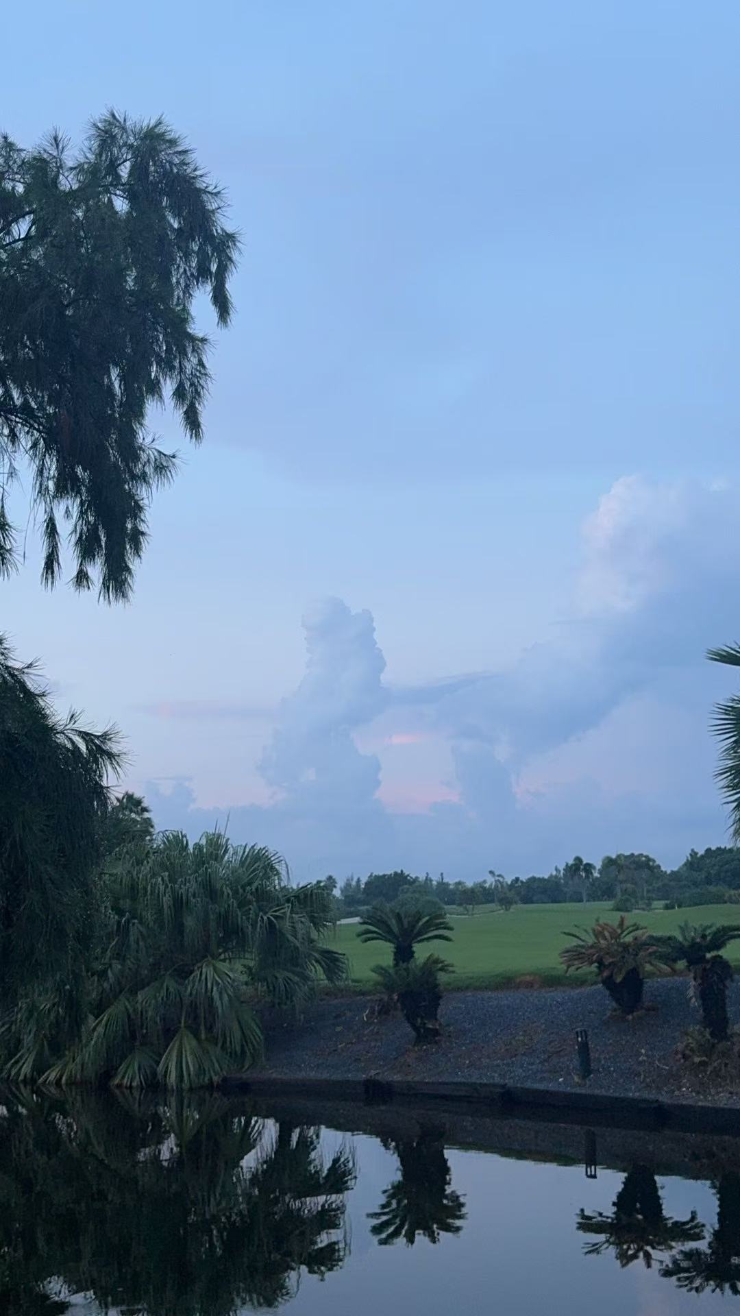 微信图片_20260817063710_463_8