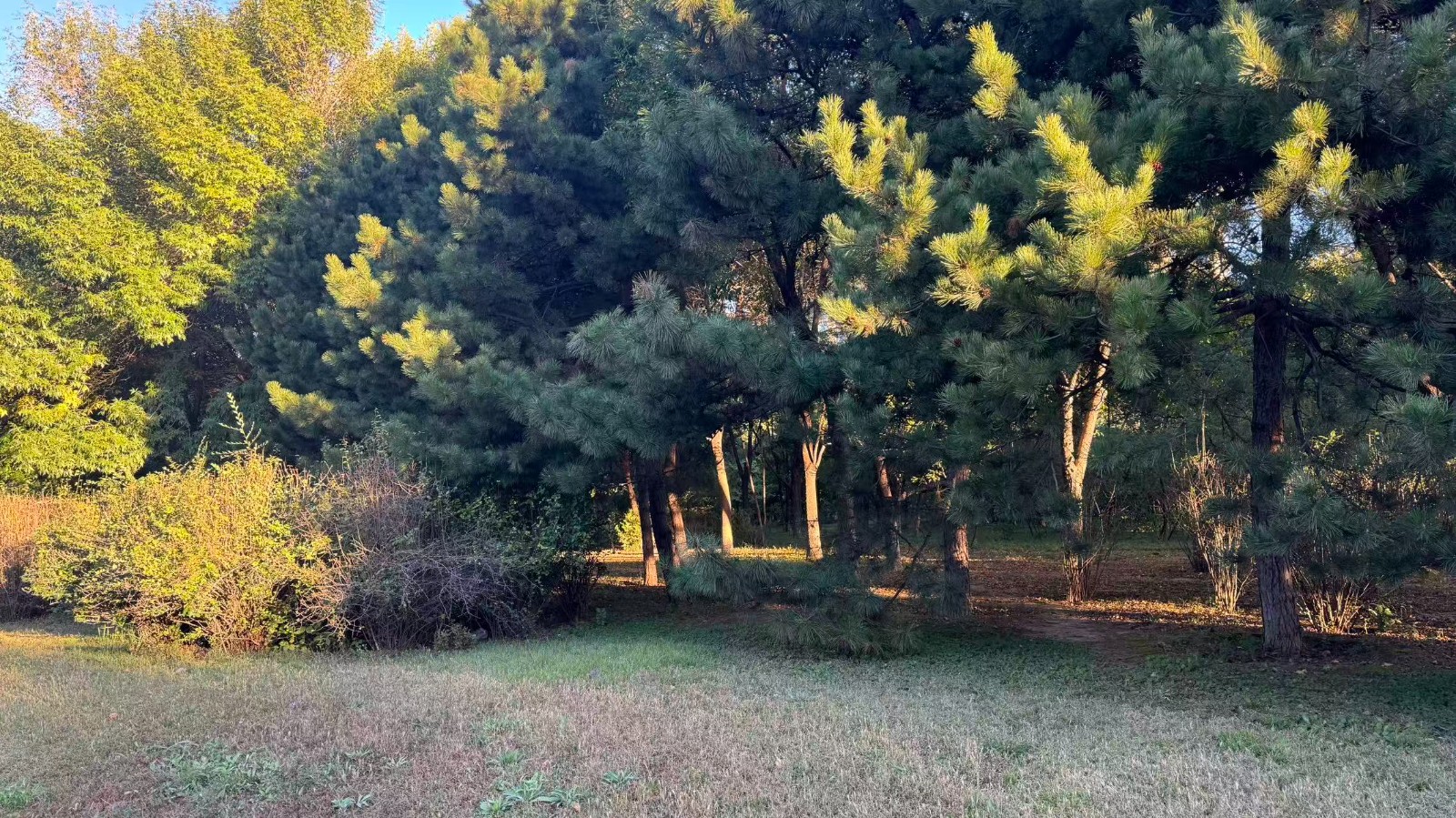 微信图片_20261001071635_91_48